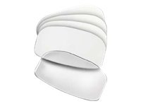 Datalogic Scan Window