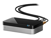 HP Wireless Audio