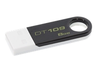 Kingston DataTraveler 109