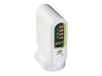 GP PowerBank Premium V800C