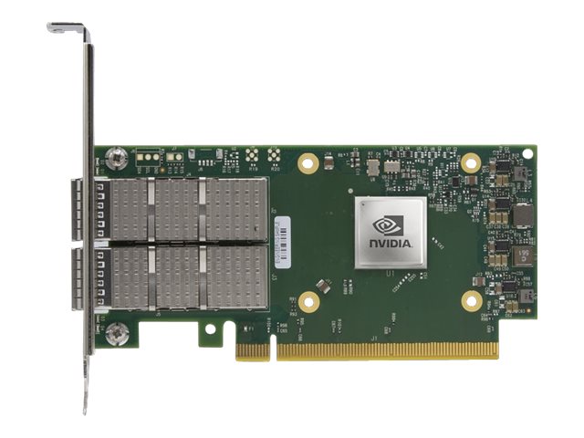 NVIDIA ConnectX-6 Dx EN - Crypto disabled - network adapter - PCIe 4.0 x16 - 100 Gigabit QSFP56 x 2