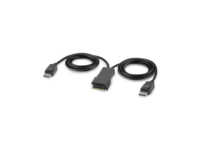Belkin Secure Modular DP Dual Head Console Cable - Video cable - TAA Compliant - DisplayPort (M) - 1.83 m - 4K support, active