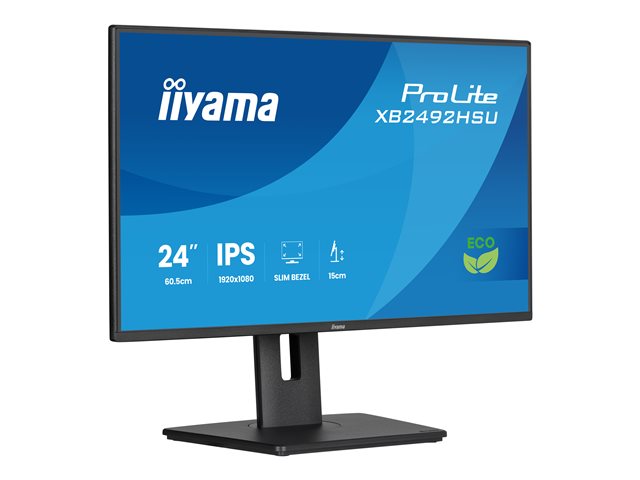 24\"W LCD Business Full HD IPS (Energy Label B)