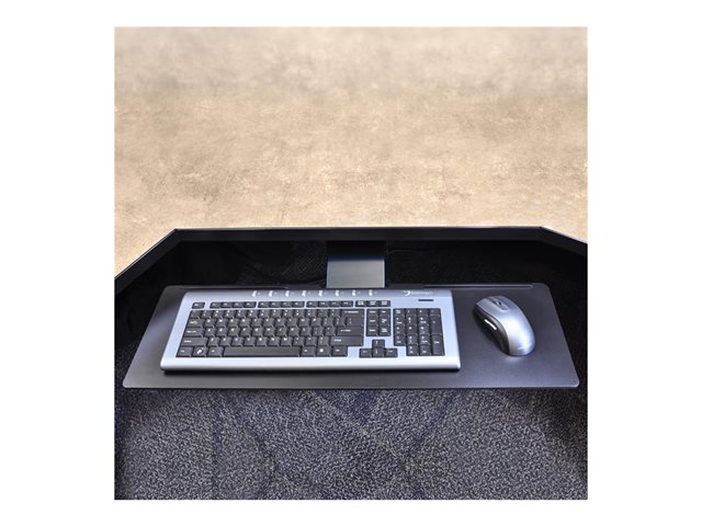 Ergotron Neo-Flex - Keyboard/mouse arm mount tray - under-desk mountable - black