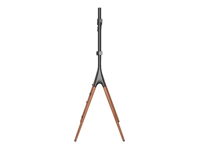 Neomounts NM-M1000 - Stand - for LCD display - black - screen size: 37\"-70\" - floor-standing