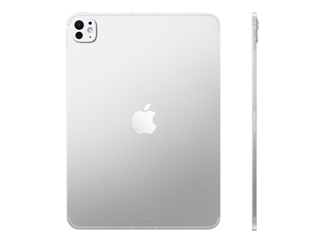 11-inch iPad Pro Wi-Fi 256GB with standard glass - Silver