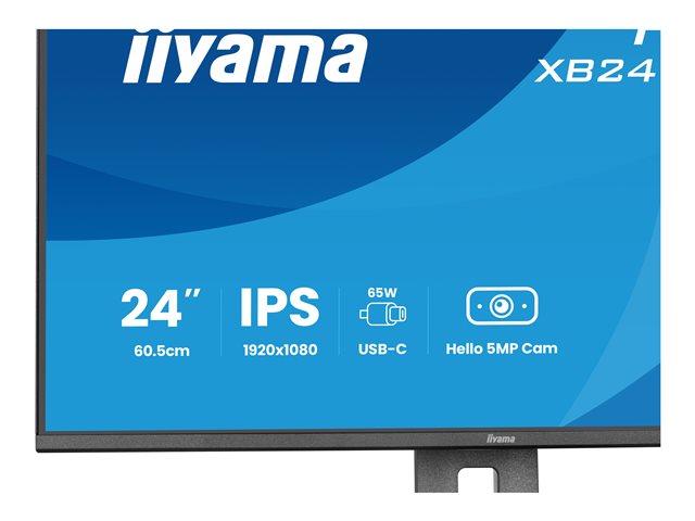 24\"\"W LCD Business Full HD IPS USB-C