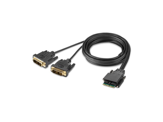 Belkin Secure Modular DVI Dual Head Console Cable - Video cable - TAA Compliant - DVI (M) - 1.83 m - 4K support, active