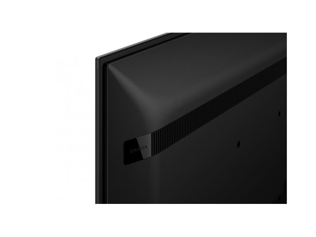 Sony 65\" Professional BRAVIA LCD 440nit display