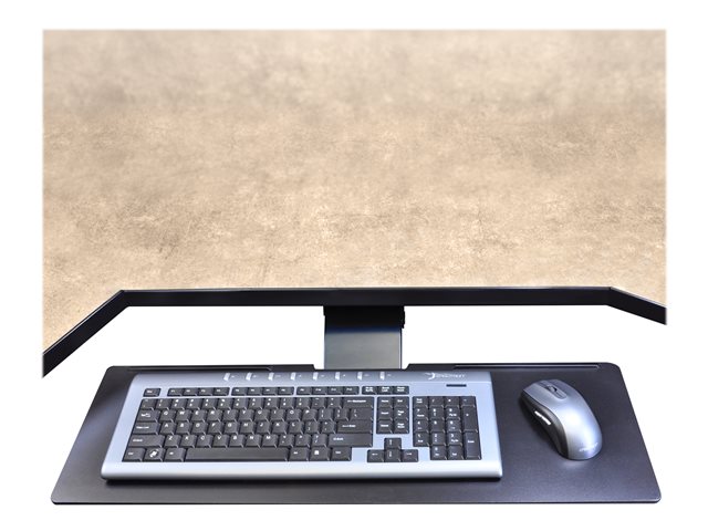 Ergotron Neo-Flex - Keyboard/mouse arm mount tray - under-desk mountable - black