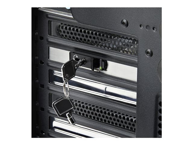 StarTech.com M.2 NVMe SSD to PCIe x4 Mobile Rack/Backplane with Removable Tray for PCI Express Expansion Slot, Tool-less Installation, PCIe 4.0/3.0 Hot-Swap Drive Bay, Key Lock - 2 Keys Included - Interface adapter - M.2 - M.2 NVMe Card / PCIe 4.0 (N