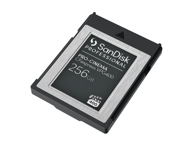SanDisk Professional - Flash memory card - 256 GB - CFexpress Type B - black
