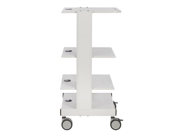 Mobile Workstation with Adjustable Shelv