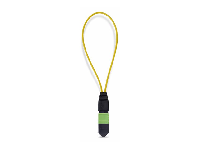 Single Mode MPO-12 Female Loopback Plug