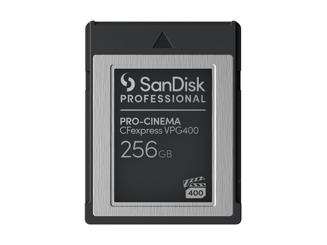 SanDisk Professional - Flash memory card - 256 GB - CFexpress Type B - black