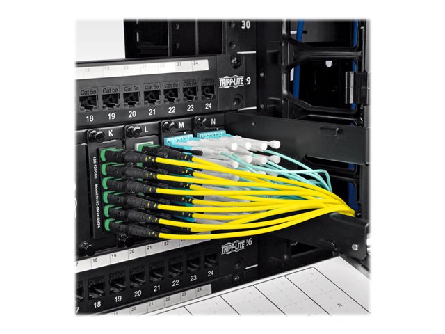 MTP/MPO APC to 4xLC UPC Singlemode B