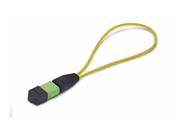 Single Mode MPO-12 Male Loopback Plug