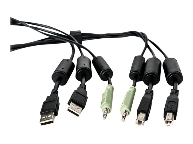 CABLE ASSY 2-USB/1-AUDIO 6FT (SCKM145)