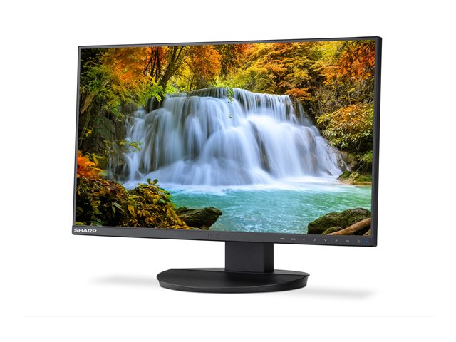 Sharp MultiSync EA242F - LED monitor - 23.8\" - 1920 x 1080 Full HD (1080p) @ 62 Hz - IPS - 250 cd/m² - 1000:1 - 6 ms - HDMI, VGA, DisplayPort, USB-C - speakers - black