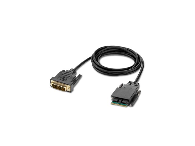 Belkin Secure Modular DVI Single Head Console Cable - Video cable - TAA Compliant - DVI-D (M) - 1.83 m - 4K support, active