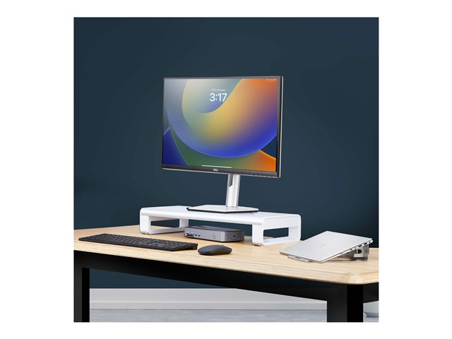 Ergonomic Monitor Riser Stand, 33lb Max
