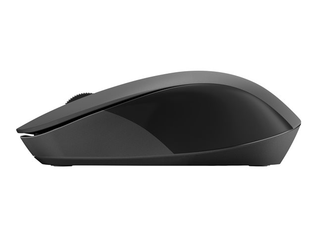 ACC: HP 150 WRLS Mouse