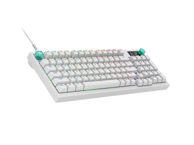 G316 X 98 WHITE - FRA - EMEA28I-935