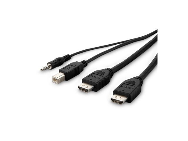 Belkin Secure KVM Combo Cable - Video / USB / audio cable - TAA Compliant - USB, mini jack, DVI-D (M) to USB Type B, mini jack, HDMI (M) - 1.83 m - passive, 4K support - black