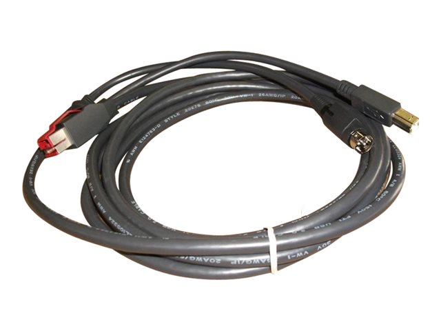 Epson PUSB Y cable: PWR-USB to USBB /