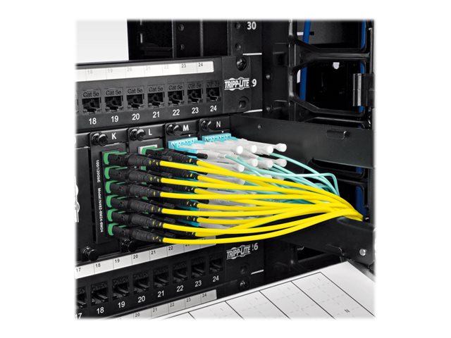 MTP/MPO APC to 4xLC UPC Singlemode B