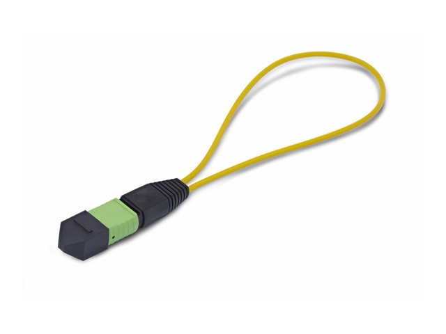Single Mode MPO-12 Female Loopback Plug