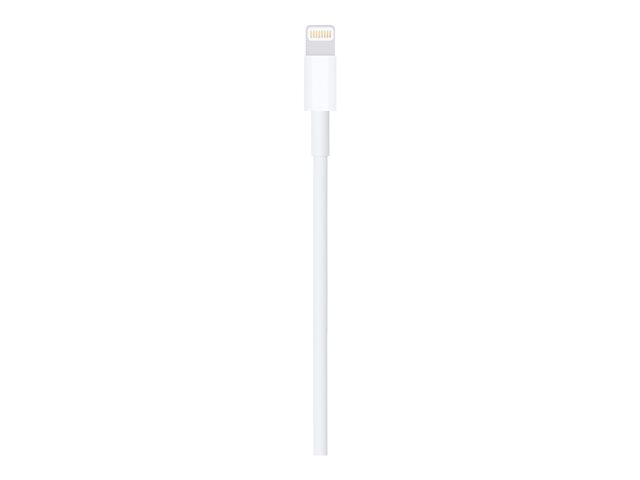 Apple - Lightning cable - Lightning male to USB male - 1 m