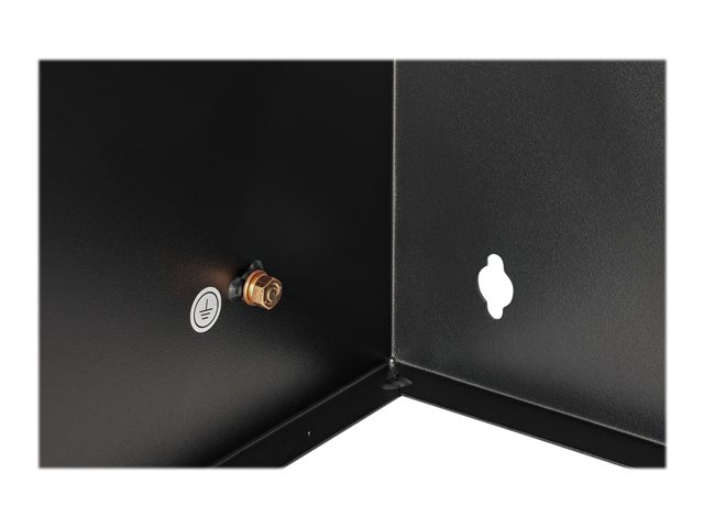 StarTech.com Wall Mount Patch Panel Bracket - 6U - 14in Deep (WALLMOUNT6) - Cabinet - wall mountable - black - 6U - 19\"