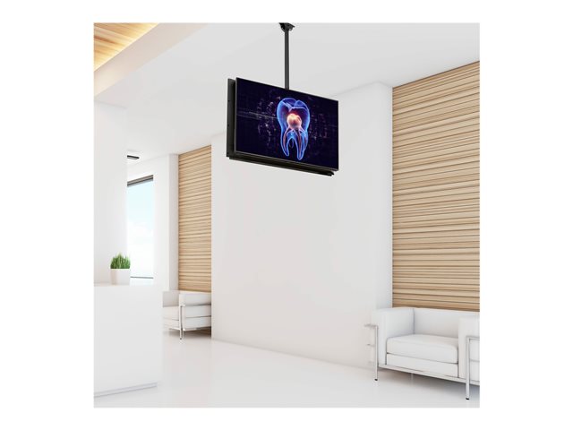 StarTech.com Dual TV Ceiling Mount, Back-to-Back Heavy Duty Hanging Dual Screen Mount with Adjustable Telescopic 3.5' to 5' Pole, Tilt/Swivel/Rotate, VESA Bracket for 32?-75\" Displays - Ceiling TV Bracket (FPCEILBTB) - Bracket - for flat panel - heavy duty steel - black - screen size: 32\"-75\" - ceiling mountable