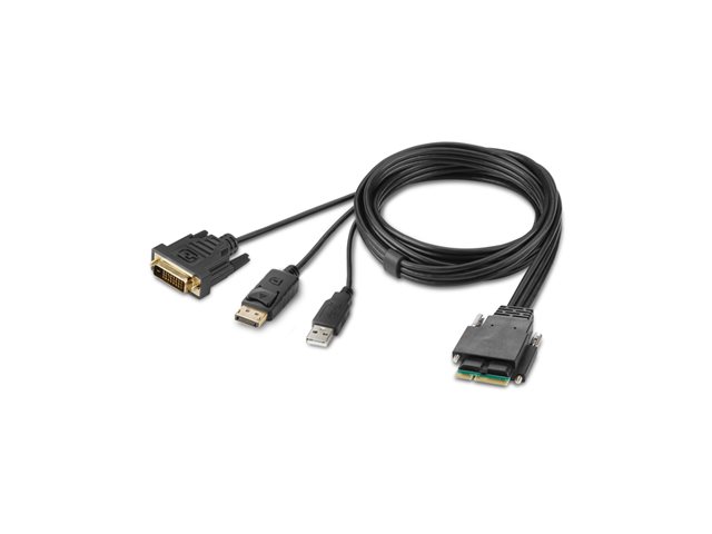Belkin Secure Modular DVI and DP Dual Head Host Cable - Video / USB cable - TAA Compliant - USB, DVI, DisplayPort (M) - 1.83 m - 4K support, active