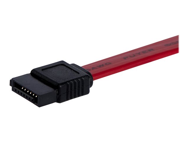 StarTech.com 12in SATA Serial ATA Cable - SATA cable - Serial ATA 150/300 - SATA (F) to SATA (F) - 1 ft - red - SATA12 - SATA cable - Serial ATA 150/300 - SATA (F) to SATA (F) - 30.5 cm - red - for P/N: 10P6G-PCIE-SATA-CARD, 2P6G-PCIE-SATA-CARD, 4P6G-PCIE-SATA-CARD, 6P6G-PCIE-SATA-CARD