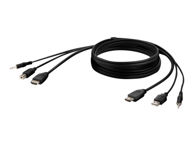 Belkin Secure KVM Combo Cable - Video / USB / audio cable - TAA Compliant - USB, mini jack, HDMI (M) to USB Type B, mini jack, HDMI (M) - 1.83 m - passive, 4K support - black