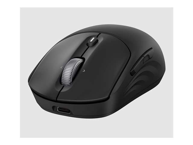 HP 705 Rechargeable Wireless Mouse EMEA-INTL English Loc-Euro plug