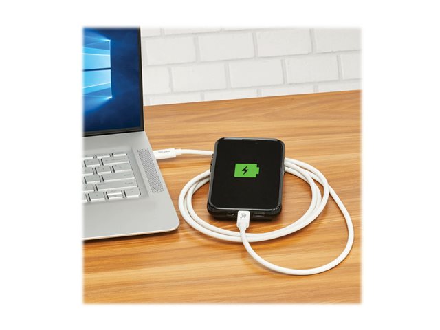 Tripp Lite series USB4 20Gbps Cable M/M