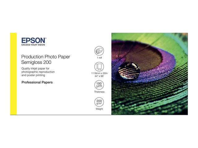 Epson Production - Polyethylene (PE) - semi-glossy - microporous - 200 micron - Roll (111.8 cm x 30 m) - 200 g/m² - 1 roll(s) photo paper - for Stylus Pro 9890, SureColor P10000, P20000, SC-P10000, P20000, P8000, P9000, P9500, T7200