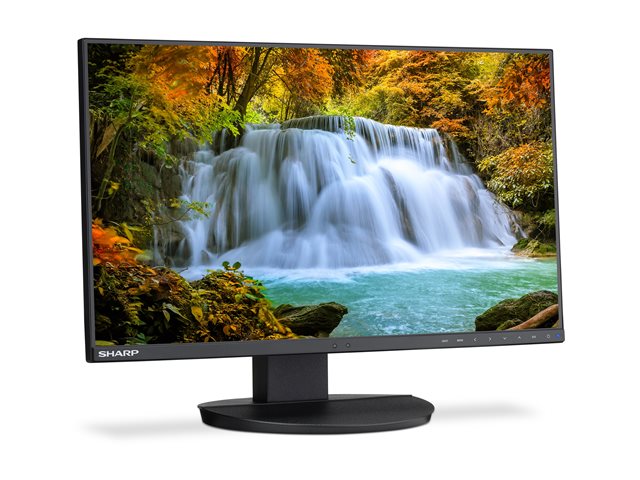 Sharp MultiSync EA242F - LED monitor - 23.8\" - 1920 x 1080 Full HD (1080p) @ 62 Hz - IPS - 250 cd/m² - 1000:1 - 6 ms - HDMI, VGA, DisplayPort, USB-C - speakers - black