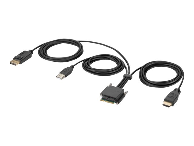 Belkin Secure Modular HDMI and DP Dual Head Host Cable - Video / audio / data cable - TAA Compliant - 1.83 m - 4K support, active