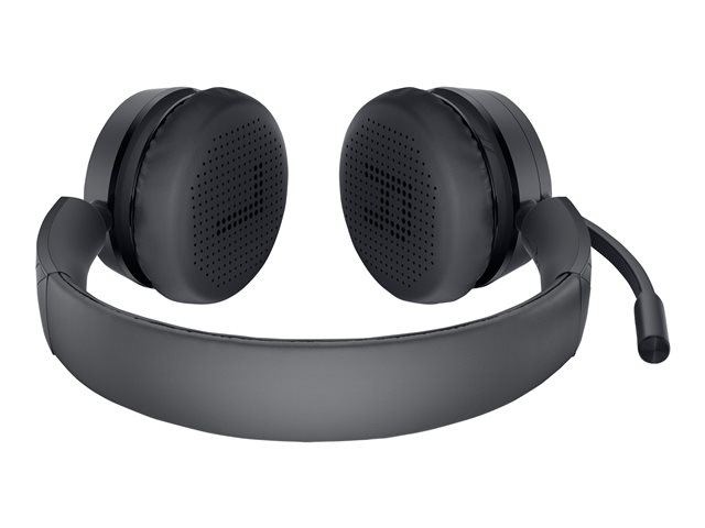 BTO/Dell Pro Wireless Headset WL5022