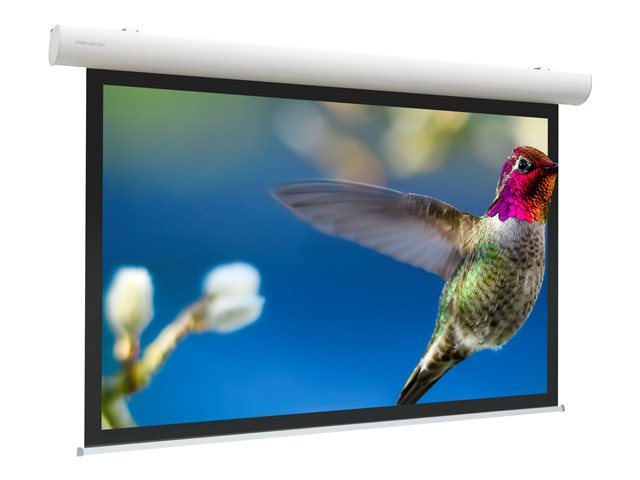 Projecta Elpro Concept HDTV Format - Projectiescherm - aan het plafond monteerbaar, monteerbaar aan muur - gemotoriseerd - 230 V - 167\" (425 cm) - 16:9 - Matte White - RAL 9016, verkeerwit