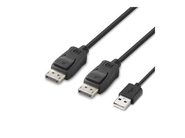 Belkin Secure Modular DP Dual Head Host Cable - Video / USB cable - TAA Compliant - USB, DisplayPort (M) - 1.83 m - 4K support, active
