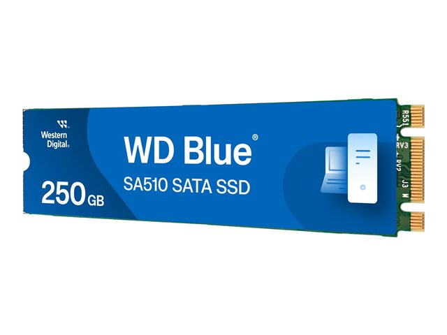 WD Blue SA510 WDS250G3B0B-00AXS0 - SSD - 250 GB - internal - M.2 2280 - SATA 6Gb/s - blue