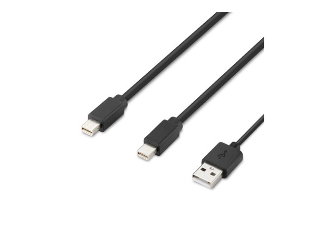 Belkin Secure Modular Mini DP Dual Head Host Cable - Video cable - Mini DisplayPort (M) - 1.83 m