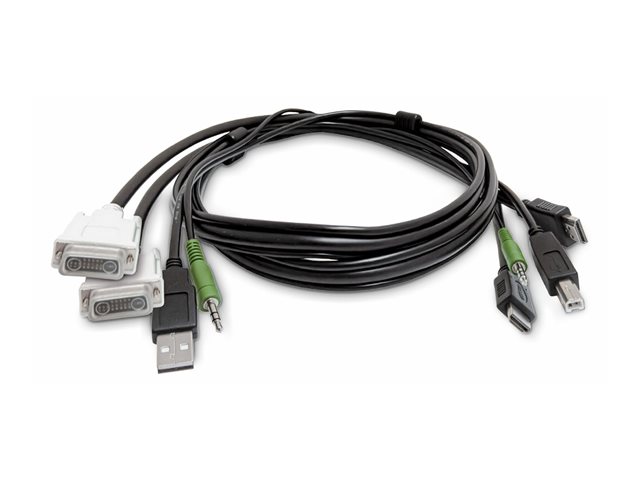 KVM Cable 2x DVI to 2x HDMI TAA