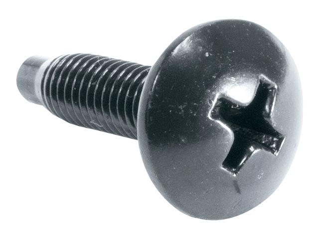 100PC 10-32 RUST RST SCW