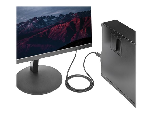 StarTech.com 6ft / 1.8m DisplayPort to DVI Cable - 1920x1200 - DVI Adapter Cable - Multi Monitor Solution for DP to DVI Setup (DP2DVIMM6) - DisplayPort cable - DisplayPort (M) to DVI-D (M) - 1.8 m - black - for P/N: DPPNLFM3, DPPNLFM3PW